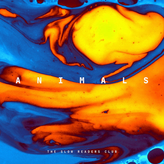 NEW SINGLE: THE SLOW READERS CLUB ‘ANIMALS’